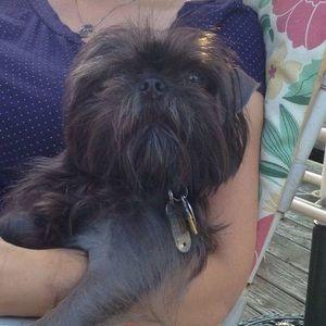 Meet your Posher, Lorraine